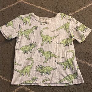 Dinosaur Print Kids Shirt - Green & Gray